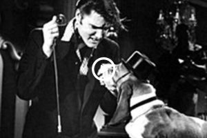 Elvis Presley – Hound Dog