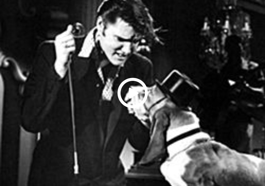 Elvis Presley – Hound Dog