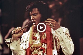 Elvis Presley – I’ll Never Fall In Love Again