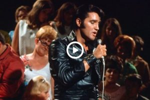 Elvis Presley – That’s Alright Mama