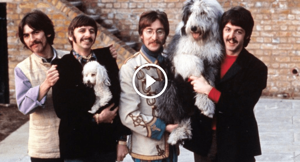 Martha My Dear – Song by The Beatles