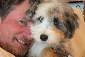 Michael J. Fox reveals new, adorable pet dog named Blue: ‘Welcome to your new home!’