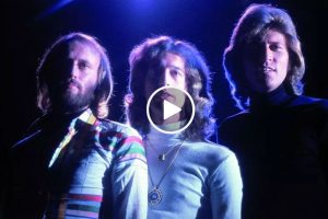 Bee Gees – Voice In The Wilderness