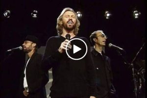 Bee Gees – Search, Find