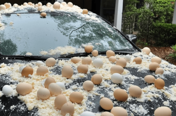 My Neighbor Threw Eggs at My Car Because It Was ‘Blocking the View’ of His Halloween Decorations